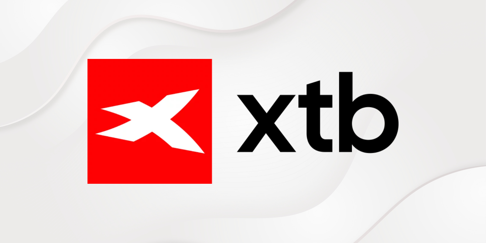 Logo XTB na szarym tle