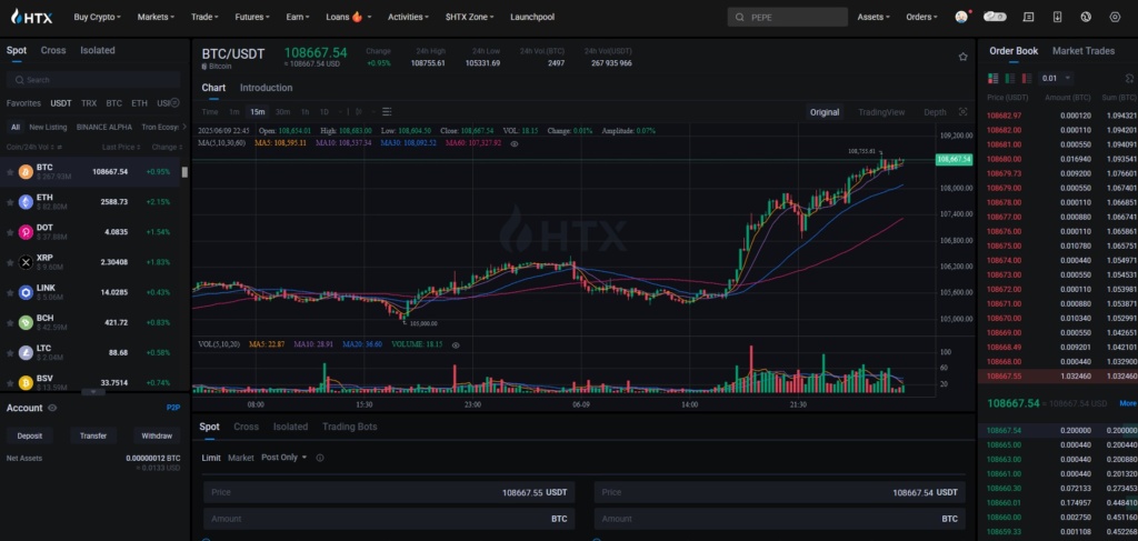 Interfejs handlowy giełdy kryptowalut HTX z wykresami i książką zleceń