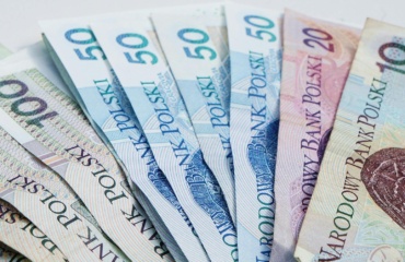 A detailed view of Polish Zloty banknotes fanned out, showcasing currency design.