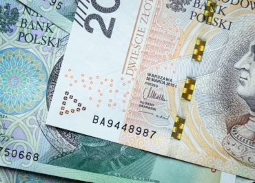 20 banknote on green textile